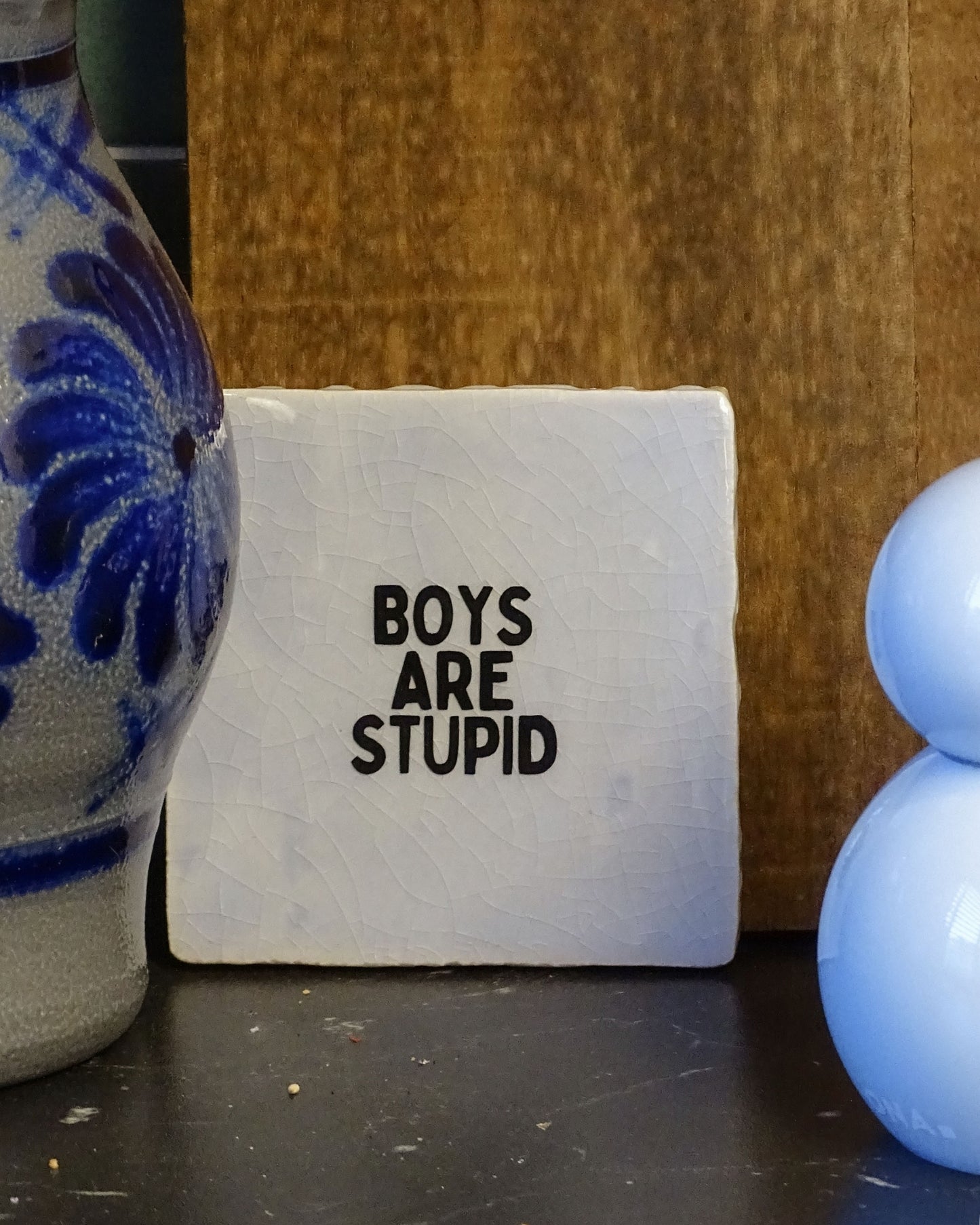 Tegeltje | Boys are stupid